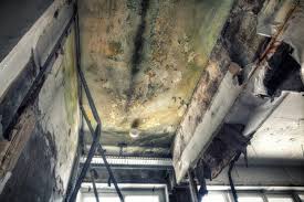 Mold Removal for HVAC Installations in Mooreville, MS